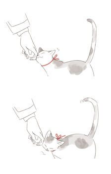 1girl animalization cat commentary fujino_shizuru fuuka_academy_school_uniform guri_gom highres kuga_natsuki long_sleeves my-hime petting red_ribbon ribbon school_uniform tortoiseshell_cat