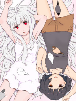 2girls bird bird_type_girl_system black_hair dress finch flat_chest highres java_sparrow java_sparrow_(bird_type_girl_system) kari_(kakko_k) long_hair multiple_girls on_bed open_mouth original personification red_eyes short_hair short_shorts shorts sparrow white_hair white_java_sparrow white_java_sparrow_(bird_type_girl_system)