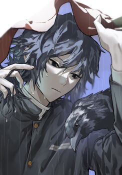 1boy bird black_hair black_jacket closed_mouth crow demon_slayer_uniform hands_up haori high_collar highres holding jacket japanese_clothes kanzaburou_(kimetsu_no_yaiba) kimetsu_no_yaiba long_hair low_ponytail male_focus outdoors ponytail rain red_haori rengoku0930 solo spiked_hair tomioka_giyuu upper_body wet