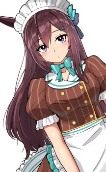 Rule 34 | 1girl, animal ears, apron, aqua bow, blush, bow, breasts, brown hair, brown shirt, brown skirt, closed mouth, coco's, collarbone, commentary request, ear bow, enukee, hair between eyes, hair ornament, hairclip, highres, horse ears, horse girl, long hair, looking at viewer, medium breasts, mejiro dober (umamusume), puffy short sleeves, puffy sleeves, purple eyes, shirt, short sleeves, simple background, skirt, solo, umamusume, waist apron, white apron, white background, white headdress