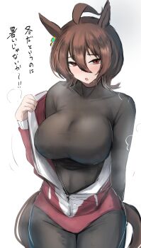 1girl absurdres agnes_tachyon_(umamusume) ahoge animal_ears brown_hair buruma chemical_structure commentary_request earrings hair_between_eyes highres horse_ears horse_girl horse_tail huge_ahoge jacket jewelry kanikama25 long_sleeves looking_at_viewer medium_hair red_buruma red_eyes red_jacket red_shorts red_track_suit school_uniform shorts single_earring solo tail tracen_school_uniform tracen_training_uniform track_jacket track_suit umamusume wolf_cut