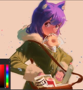 Rule 34 | 1other, alternate costume, alternate eye color, androgynous, animal ear fluff, animal ears, art program in frame, bag, brown bag, cat ears, coat, commentary, cowboy shot, donut, english commentary, food, fur-trimmed coat, fur trim, green coat, holding, holding paper, hood, hood down, hooded coat, long sleeves, looking to the side, medium hair, mouth hold, newspaper, niko (oneshot), oneshot (game), other focus, paper, plastic bag, purple eyes, purple hair, scroll, shadches72, shoulder bag, solo, yellow background