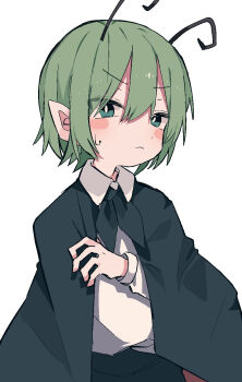 1girl antennae blue_eyes blush_stickers cape collared_shirt commentary_request frown green_hair highres long_sleeves looking_at_viewer nacht_musik neckerchief pointy_ears shirt short_hair sweat touhou wriggle_nightbug