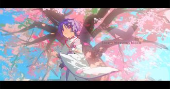 1boy absurdres armor black_sash blue_sky blunt_ends cherry_blossoms closed_mouth clothing_cutout eyeliner eyeshadow falling_petals feathers from_side genshin_impact hand_up highres hip_vent japanese_armor japanese_clothes kariginu kimono kote kurokote layered_sleeves looking_at_viewer makeup male_focus miaoyeza233 outdoors pants parted_bangs petals pink_petals pom_pom_(clothes) purple_eyes purple_hair purple_kimono purple_sleeves purple_veil red_eyeliner red_eyeshadow sash scaramouche_(genshin_impact) scaramouche_(kabukimono)_(genshin_impact) see-through_clothes see-through_veil shoulder_cutout side_cutout sky smile solo string veil white_pants white_sleeves wide_sleeves yellow_feathers