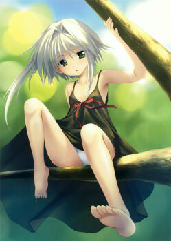 1girl absurdres azuma_yuki barefoot cameltoe dress feet female_focus flat_chest green_eyes highres in_tree loli long_hair outdoors panties pantyshot sitting sitting_in_tree soles solo sora_(stellar_theater) stellar_theater toes tree underwear upskirt white_hair white_panties