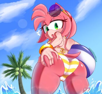 1girl amy_rose ass beach bikini cameltoe delicious_soup highres sega sonic_(series) swimsuit thighs