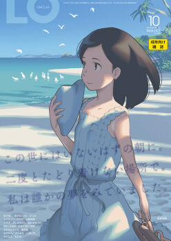 1girl absurdres beach black_eyes black_hair blue_sky comic_lo cover cover_page dress flat_chest flock hat highres holding holding_unworn_clothes holding_unworn_hat looking_to_the_side ocean original outdoors short_hair sky smile solo summer sunlight takamichi translation_request unworn_hat unworn_headwear