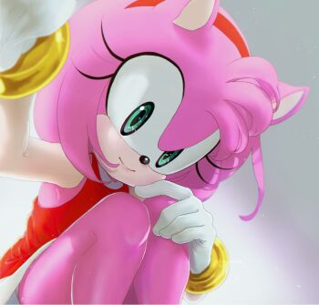 Rule 34 | amy rose, armpits, bare legs, bent over, bracelet, camera, dress, eyelashes, fur, gloves, green eyes, hairband, highres, holding, holding camera, jewelry, kneeling, knees, konjiki ringo, legs, looking at viewer, medium hair, multicolored hair, panties, pink fur, pink hair, pov, sa ssssa, sega, sleeveless, sleeveless dress, smile, sonic (series), two-tone fur, two-tone hair, underwear