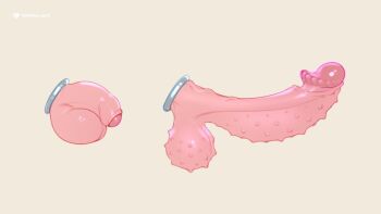 artist_logo artist_name cock_ring commentary cream_background erection flaccid foreskin logo original penis_focus progression sex_toy simple_background spiked_penis spiked_testicles symbol-only_commentary tailbox