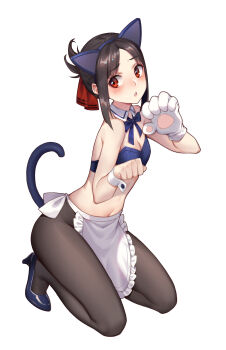 1girl absurdres animal_ears animal_hands apron asymmetrical_gloves black_hair black_pantyhose blue_bra blue_footwear blue_hairband blue_neckwear bra breasts cat_ears cat_tail cleavage detached_collar fake_animal_ears female_focus frilled_apron frills full_body gloves hair_ribbon hairband high_heels highres kaguya-sama_wa_kokurasetai_~tensai-tachi_no_renai_zunousen~ kneeling looking_to_the_side maoshinian1 midriff navel pantyhose parted_bangs paw_gloves paw_pose pump pumps red_eyes red_ribbon ribbon shinomiya_kaguya short_hair simple_background single_glove small_breasts solo stomach strapless strapless_bra tail triangle_mouth underwear uneven_gloves waist_apron white_apron white_background white_gloves wing_collar wrist_cuffs