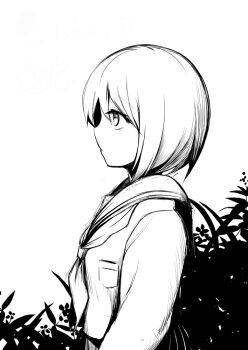 Rule 34 | 1girl, closed mouth, commentary request, expressionless, from side, greyscale, long sleeves, looking afar, monochrome, neckerchief, original, plant, profile, sadahiro (chicken nugget gyuuniku aji), school uniform, serafuku, shirt, short hair, sketch, solo, upper body