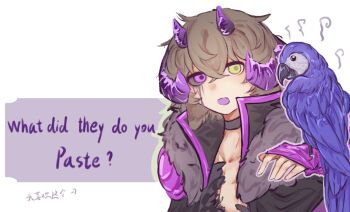 1boy animal animal_ears animal_on_arm animification bird black_jacket black_sclera brown_hair colored_sclera commentary english_commentary english_text engrish_text fur-trimmed_jacket fur_trim green_eyes heterochromia highres horns itzsubz jacket lanchi0226 lifesteal_smp male_focus minecraft_youtube mismatched_sclera open_clothes open_jacket parrot purple_eyes ranguage sheep_boy sheep_ears sheep_horns short_hair simple_background solo white_background