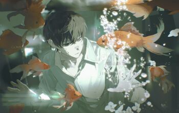 1boy against_glass bandaid bandaid_on_face bandaid_on_nose black_eyes black_hair blurry collared_shirt fish fish_tank goldfish highres kim_dokja male_focus oldest_dream omniscient_reader&#039;s_viewpoint parted_lips shirt short_hair solo subsurface_scattering twle underwater white_shirt