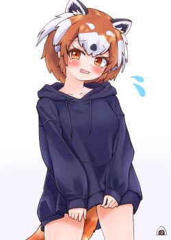 1girl alternate_costume black_hair blue_hoodie blue_sweater blush casual collarbone cowboy_shot dress extra_ears fang flying_sweatdrops hair_between_eyes highres hood hood_down hoodie kemono_friends long_sleeves multicolored_hair orange_eyes orange_hair piki_(zuru-pikio) red_panda_(kemono_friends) red_panda_ears red_panda_girl red_panda_tail short_hair sidelocks solo sweater sweater_dress wavy_mouth white_hair