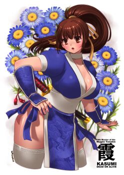 1girl blue_flower blue_kimono blush breasts brown_eyes brown_hair character_name cleavage collarbone copyright_name dead_or_alive flower high_ponytail highres japanese_clothes kainan kasumi_(doa) kimono large_breasts long_hair ponytail solo thighhighs white_background white_thighhighs