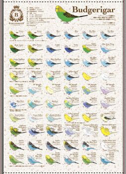 animal_focus animal_name artist_logo artist_name beak bird bird_tail bird_wings black_eyes blue_feathers budgerigar_(bird) chart feathers full_body green_feathers highres label logo mars_symbol no_humans original palette_swap parrot sittlebluebird tail venus_symbol white_feathers wings yellow_feathers