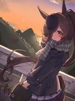 1girl absurdres animal_ears bag blue_coat blue_hat blush brown_hair buttons closed_mouth coat double-breasted flipped_hair hair_over_one_eye hat highres holding holding_bag horse_ears horse_girl horse_tail long_hair looking_at_viewer orange_sky outdoors plaid_clothes plaid_scarf purple_eyes purple_skirt rice_shower_(umamusume) saigyougi scarf school_bag school_uniform skirt sky solo sunset tail tilted_headwear tracen_school_uniform tracen_winter_coat umamusume winter_clothes winter_coat winter_uniform
