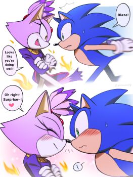1boy 1girl animal_ears blaze_the_cat blue_fur blush cat_ears cat_girl cat_tail closed_eyes furry furry_female furry_male gloves green_eyes highres purple_fur sonic_(series) sonic_the_hedgehog speech_bubble sweatdrop tail white_gloves yellow_eyes yeonwu08
