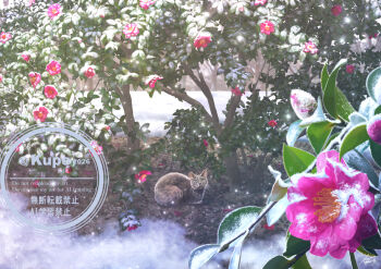 animal artist_name cat commentary_request copyright_notice day flower flower_request grey_cat kun52 no_humans original outdoors purple_flower scenery signature snow snowing tree watermark