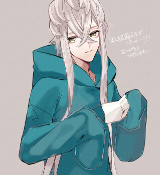 Rule 34 | 1boy, :i, androgynous, asclepius (fate), bishounen, blue hoodie, closed mouth, commentary request, crossed bangs, fate/grand order, fate (series), grey hair, hood, hoodie, iseyun, long sidelocks, male focus, oversized clothes, pale skin, sidelocks, sleeves past fingers, sleeves past wrists, solo, yellow eyes