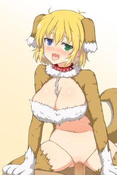 1boy 1girl :3 animal_ears animal_hands blonde_hair blue_eyes breasts censored cleavage cowgirl_position dog_ears dog_girl dog_paws dog_tail girl_on_top green_eyes hetero heterochromia large_breasts looking_at_viewer navel nipples penis pov ryouna_(senran_kagura) senran_kagura senran_kagura_peach_ball sex short_hair solo_focus straddling tail tongue tongue_out vaginal yaomai