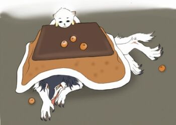 animal_ears blanket claws food fruit furry kotatsu lying multicolored_hair orange_(fruit) rain_silves sergal size_difference sleepy table tail tongue trancy_mick