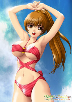 1girl arms_up artist_name bikini breasts brown_eyes brown_hair covered_erect_nipples dead_or_alive female_focus kasumi_(doa) large_breasts long_hair looking_at_viewer matching_hair/eyes midriff navel onoe open_mouth ponytail smile solo standing swimsuit thighs underboob watermark web_address