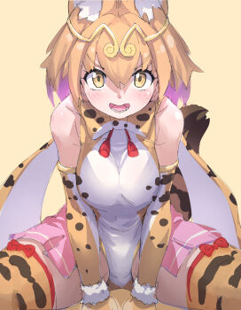 Rule 34 | 1girl, absurdres, animal ears, animal print, bare shoulders, blonde hair, blush, bow, bowtie, cat ears, cat girl, cat print, cat tail, circlet, elbow gloves, extra ears, gloves, hair between eyes, highres, kemono friends, kemono friends 3, leotard, looking at viewer, lowlandgorilla, multicolored hair, multicolored leotard, official alternate costume, open mouth, pink skirt, print bow, print bowtie, print gloves, print leotard, print thighhighs, serval (kemono friends), short hair, showgirl skirt, sidelocks, sitting, skirt, sleeveless, smile, solo, tail, thighhighs, white leotard, yellow bow, yellow bowtie, yellow eyes, yellow gloves, yellow leotard, yellow thighhighs, zettai ryouiki