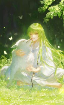 Rule 34 | 1other, absurdres, androgynous, animal, animal focus, animal hug, artist name, barefoot, bug, butterfly, chinese commentary, commentary request, enkidu (fate), fate/strange fake, fate (series), green hair, green theme, highres, indian style, insect, level02, licking, licking another's face, long hair, on ground, one eye closed, other focus, outdoors, parted lips, plant, robe, signature, sitting, very long hair, white butterfly, white robe, white wolf, wolf (fate)