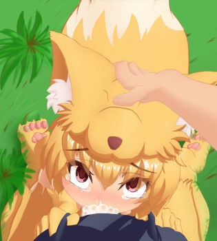 Rule 34 | 1boy, 1girl, aki 32, animal feet, animal hands, blonde hair, blush, censored, commentary request, cum, cum in mouth, ejaculation, fellatio, fox girl, fox hat, fox tail, full body, grass, hand on another's head, hetero, highres, irrumatio, looking at viewer, moonlight flower, mosaic censoring, nose blush, oral, penis, pov, pov crotch, ragnarok online, red eyes, short hair, solo focus, tail, tearing up, variant set