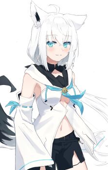 absurdres ahoge animal_ear_fluff animal_ears aqua_eyes bare_shoulders black_shorts blue_neckerchief blue_ribbon braid breasts closed_mouth commentary cowboy_shot crossed_bangs detached_sleeves fox_ears fox_girl fox_tail front_slit hair_between_eyes highres hololive hood hood_down hooded_vest hoodie light_blush light_smile long_hair long_sleeves looking_at_viewer low_ponytail medium_breasts midriff navel neckerchief nobreakfastpro ponytail ribbon ribbon-trimmed_sleeves ribbon_trim shirakami_fubuki shirakami_fubuki_(1st_costume) short_shorts shorts side_braid simple_background standing tail vest virtual_youtuber white_background white_hair white_sleeves white_vest