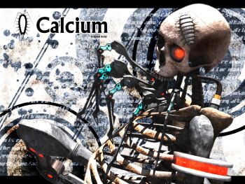 3d androgynous bone calne_ca_(deino) cyborg deino_(deino3330) gender_request isopod red_eyes skeleton skull solo upper_body