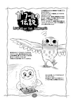 2girls animal animal_focus bird claws dizzy eglantine_(gogh) guardians_of_ga&#039;hoole gylfie_(gogh) k-nattoh looking_down monochrome multiple_girls no_humans open_mouth owl standing standing_on_one_leg sweat teeth