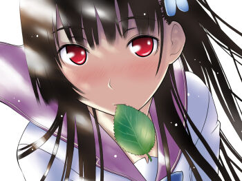 10s 1girl black_hair blush bad_tag close-up female_focus flower hair_ornament hairclip hattori_mitsuru hydrangea leaf long_hair mouth_hold oni_bikari red_eyes sanka_rea sankarea school_uniform solo zombie