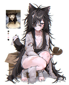 1girl absurdres animal_ear_fluff animal_ears arm_between_legs artist_name black_eyes black_hair box cardboard_box cat_ears cat_tail chromatic_aberration closed_mouth color_guide hair_over_one_eye haze_(7h4ze) highres long_hair looking_at_viewer messy_hair original photo-referenced photo_inset sharp_toenails simple_background solo squatting tail toenails torn_clothes very_long_hair white_background