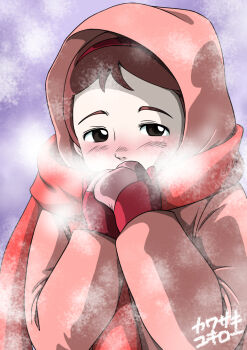 1girl ai_no_wakakusa_monogatari blush brown_eyes cold elizabeth_march hood jacket looking_at_viewer nose pink_jacket red_scarf scarf scarft shy winter winter_clothes