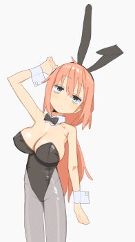 1girl animal_ears arm_up bare_shoulders black_bow black_bowtie black_leotard blush bow bowtie breasts cleavage closed_mouth detached_collar fake_animal_ears green_eyes grey_pantyhose highres large_breasts leotard loli long_hair looking_at_viewer michinoku_komaro oppai_loli orange_hair pantyhose pink_hair playboy_bunny rabbit_ears ri-el seitokai_ni_mo_ana_wa_aru! simple_background solo standing strapless strapless_leotard white_background wrist_cuffs
