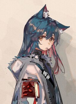 Rule 34 | 1girl, animal ear fluff, animal ears, arknights, blue hair, closed mouth, commentary, double-parted bangs, from side, fur-trimmed jacket, fur trim, grey jacket, hair between eyes, highres, hood, hooded jacket, jacket, long hair, looking at viewer, mouth hold, pyyuu, solo, texas (arknights), upper body, wolf ears, wolf girl, yellow eyes