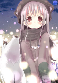 1girl absurdres albino animal_hood braid cat_hood coat dog duffel_coat highres hood night night_sky original pale_skin red_eyes shiro_(octet) sky smile squatting white_hair