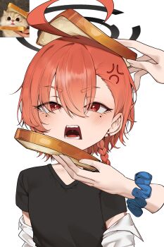 2girls absurdres ahoge anger_vein animal asuna_(blue_archive) asuna_(school_uniform)_(blue_archive) black_halo black_shirt blue_archive blue_scrunchie cat chirpy commentary english_commentary hair_between_eyes halo highres mole mole_under_each_eye mole_under_eye multiple_girls multiple_moles neru_(blue_archive) open_mouth photo-referenced red_eyes scrunchie shirt simple_background solo_focus white_background wrist_scrunchie