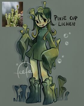 Rule 34 | 1girl, algae, blush, boots, colored skin, dress, english text, feefal, full body, fungi, funguary, green boots, green dress, green skin, highres, lichen, long hair, monster girl, object and personification, original, personification, photo inset, plant girl, procreate (medium), reference inset, simple background, sleeves past fingers, sleeves past wrists, smile, solo, standing, tongue, tongue out