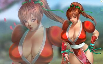 1girl breasts brown_eyes brown_hair christmas cleavage dead_or_alive didi_esmeralda falling_petals kasumi_(doa) large_breasts long_hair ninja pelvic_curtain petals ponytail short_hair