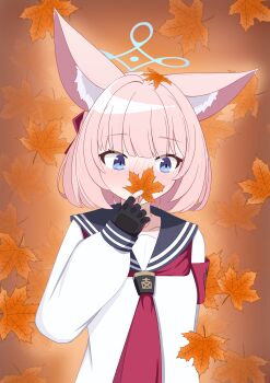 1girl absurdres animal_ear_fluff animal_ears armband autumn autumn_leaves azurefetters black_gloves black_sailor_collar blue_archive blue_eyes blue_halo blunt_bangs blush commentary_request covering_own_mouth dated_commentary embarrassed fingerless_gloves fox_ears fox_girl gloves halo hand_up highres holding holding_leaf leaf leaf_on_head long_sleeves looking_down maple_leaf medium_hair neckerchief niko_(blue_archive) nose_blush pink_hair red_armband red_neckerchief sailor_collar school_uniform serafuku shirt solo straight_hair upper_body white_shirt