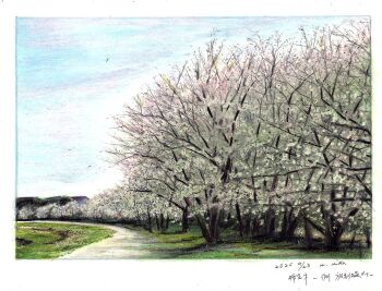 absurdres baden_hiroshi blue_sky border colored_pencil_(medium) commentary_request dated day forest highres landscape nature no_humans original outdoors path road scenery sky spring_(season) traditional_media white_border