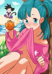 Rule 34 | 1boy, 1girl, beach, blue eyes, blue hair, breasts, breasts apart, bulma, clothes lift, dougi, dragon ball, dragon ball (classic), dragon ball (object), flying nimbus, highres, monkey tail, mouth hold, no bra, no panties, off-shoulder sweater, off shoulder, pink sweater, side ponytail, son goku, spiked hair, sweater, sweater lift, tail, wolkat