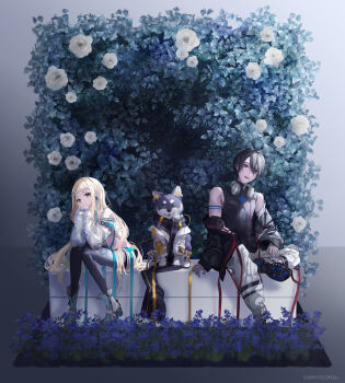 1boy 1girl :d animal ankle_boots bare_shoulders belt black_belt black_hair black_jacket black_pantyhose black_shirt blonde_hair blue_belt blue_flower blue_nails boots closed_mouth clothed_animal copyright_notice crop_top detached_sleeves diagonal_bangs dog earphones earrings expressionless figure_four_sitting flower full_body grass grey_background hair_between_eyes hair_ornament hairclip half-skirt head_rest headphones headphones_around_neck hedge highres iridescent_clothes jacket jewelry kirei_natuki knees_together_feet_apart kokumucho_(nijisanji) kuroi_shiba lineup long_belt long_hair long_sleeves looking_at_viewer machita_chima multicolored_nails nail_polish nijisanji off_shoulder official_art open_belt open_mouth pants pantyhose pink_nails ready_steady_(vocaloid) red_belt red_eyes rose see-through_clothes see-through_skirt shiba_inu shirt shoes short_bangs short_eyebrows short_hair short_shorts shorts shoulder_tattoo shrug_(clothing) sitting skirt sleeveless sleeveless_shirt smile striped_clothes striped_skirt stud_earrings tattoo turtleneck turtleneck_shirt virtual_youtuber white_boots white_flower white_jacket white_pants white_rose white_shirt white_shoes white_shorts yellow_belt yellow_eyes yumeoi_kakeru zipper_pull_tab