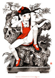10s 1girl 2015 black_eyes black_hair blush bonsai bow dress flat_chest fractal_underground_studio hair_bow hairband head_rest in_tree key kneehighs loli long_hair looking_to_the_side mary_janes original panties red_dress red_eyes red_shoes school_uniform shirt shoes short_sleeves sitting sleeveless sleeveless_dress socks spread_legs tree underwear white_background white_panties white_shirt white_socks