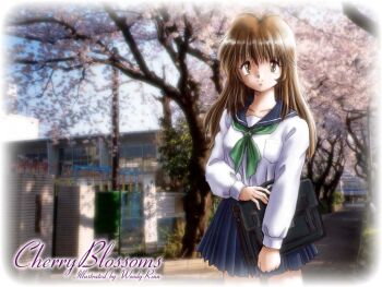 1girl artist_name bad_id blue_sailor_collar blue_skirt briefcase brown_eyes brown_hair cherry_blossoms closed_mouth cowboy_shot english_text green_neckerchief holding holding_briefcase long_hair neckerchief original photo_background pleated_skirt sailor_collar school_briefcase school_uniform serafuku shirt skirt smile solo standing white_shirt woody-rinn