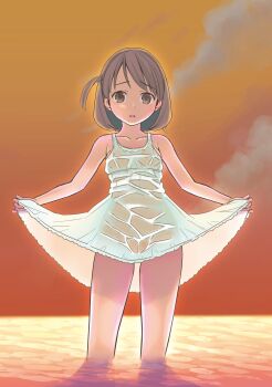 1girl absurdres bare_shoulders blush brown_eyes brown_hair cloud dress highres looking_at_viewer ocean original pop_(electromagneticwave) see-through_clothes sky solo standing sundress sunset twintails water wet wet_clothes white_dress