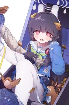1girl @_@ ahoge animal_ears bird black_gloves black_hair blue_archive blue_serafuku bolt_action eurasian_tree_sparrow fake_animal_ears furrowed_brow gloves green_neckerchief gun halo highres in_container in_trash_can kohaku_rinne leaf leaf_on_head long_sleeves looking_at_viewer miyu_(blue_archive) neckerchief pantyhose rabbit_ears rabbit_platoon_(blue_archive) red_eyes rifle sailor_collar school_uniform serafuku shoe_soles shoes simple_background sniper_rifle solo sparrow tears trash_can weapon white_background white_pantyhose white_sailor_collar